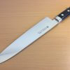 Sakai Knives of Japan, gyuto stainless steel
