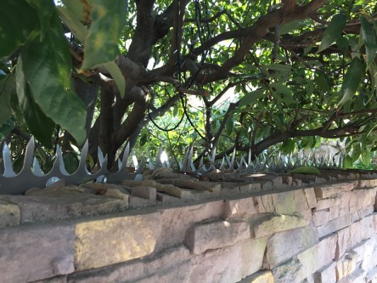 Japanese traditional fence guard on modern living