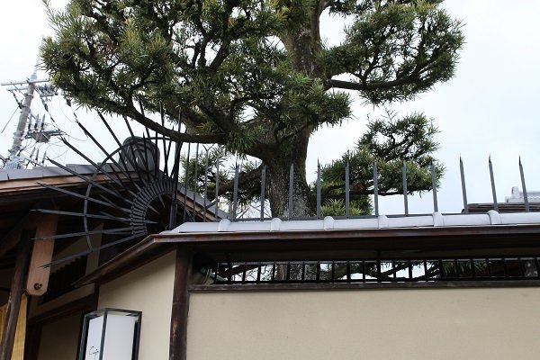 Japanese traditional fence guard on traditional house