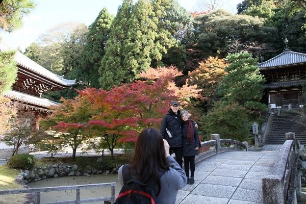 a beautiful scenery of Autumn in Kyoto