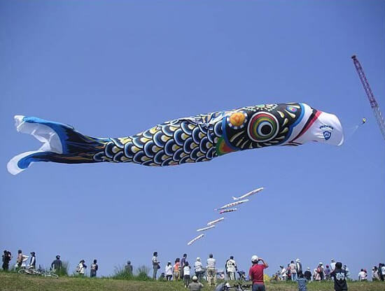 largest koinobori carp flag in the world