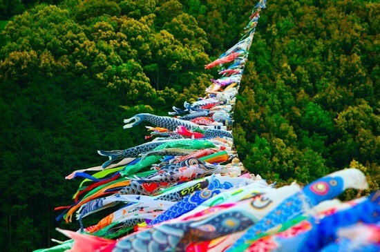 koinobori festival in shimanto river