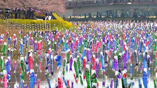 koinobori festival, the most koinobori of a guinness record