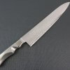 Japanese Chef Knife, Damascus Gyuto size L, front view