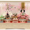 Hina dolls, a Japanese doll, gorgeous pair doll set Hagoromo white, entire view