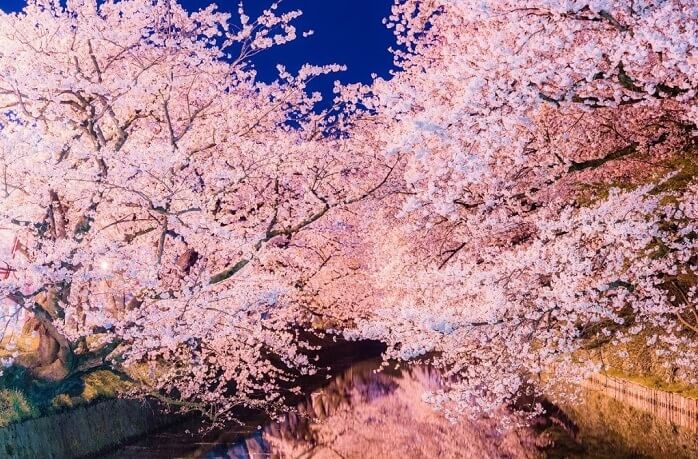Japanese traditional color pallet for art, beautiful night view