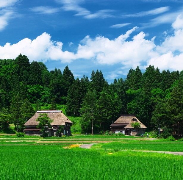 Japanese traditional color pallet for art, beautiful paddy field colors