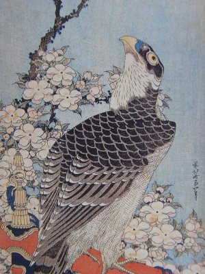 Ukiyo-e, Japanese woodblock print, bird-and-flower paint by Katsushika Hokusai